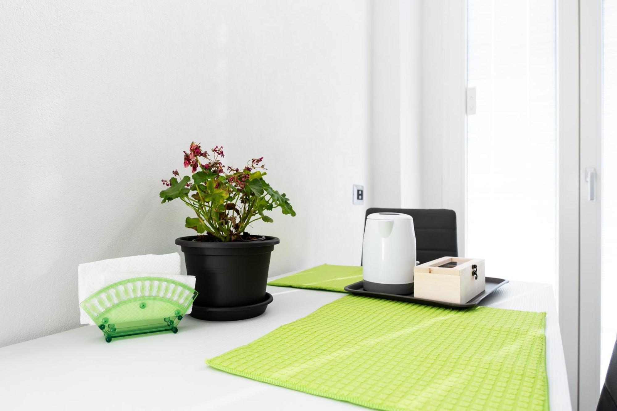 Volcano's - Ulivo - The First Sustainable Eco - Chic In Sicily Apartment Catania